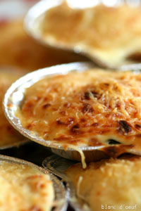 Coquilles-poisson.jpg